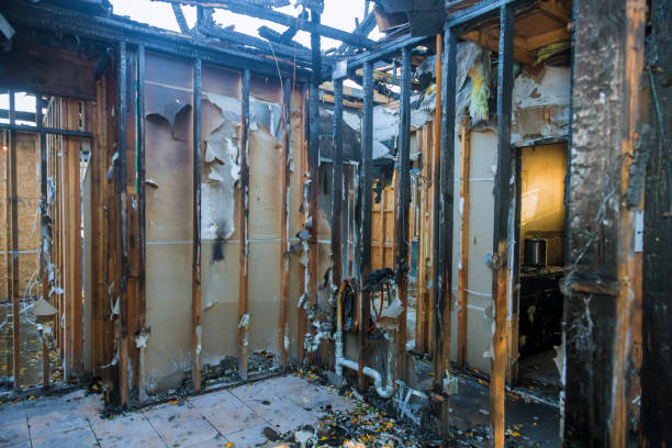Professional Emergency Fire Cleanup technician working in Lenoir City, TN